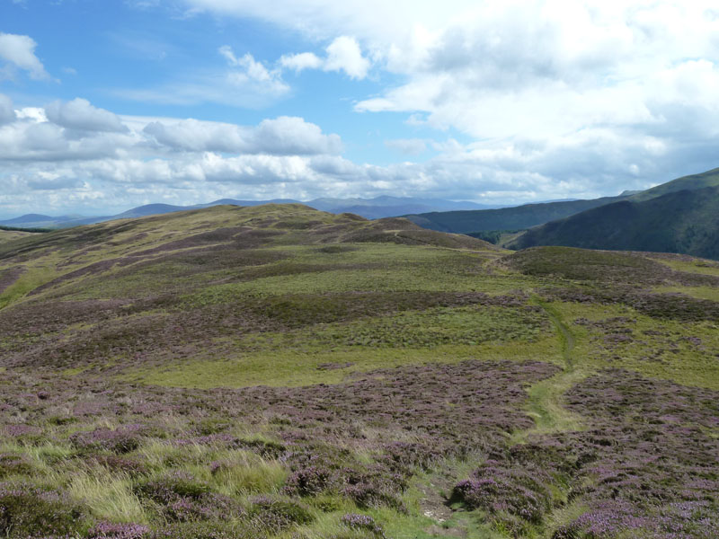 Whinlatter